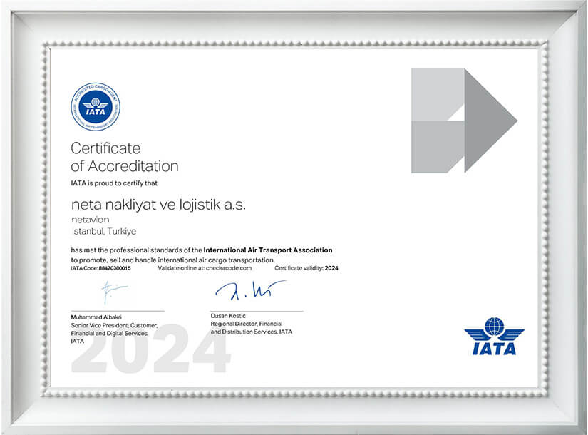 Netavion-uluslararası uçak kargo taşımacılığı IATA akredite firma olarak kargo taşıma hizmeti sunar.