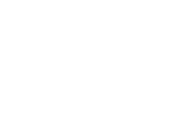Netavion-tehlikeli uçak kargo taşımacılığı logo